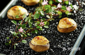 Escargots with Mushroom and Basil Sauce