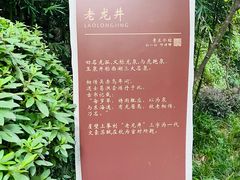 -十八棵（老龙井）御茶园(老龙井店)