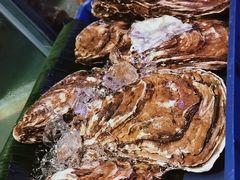 -辉记炭烧海鲜大排档·老字号(福田店)