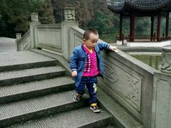 -忠山公园