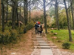 -缥缈峰景区