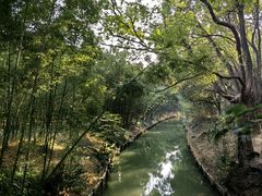 -同里国家湿地公园