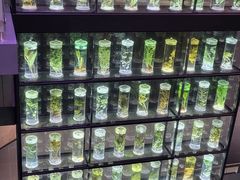 -广东中医药博物馆