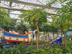 -南宫五洲植物乐园