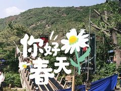 -青青世界
