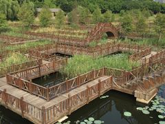-五缘湾湿地公园
