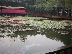 -巴山一绝烤全羊(三圣乡刘家花园店)