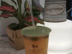 百香青柠茶-恋暖初茶(万菱汇店)