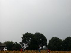 android_upload_pic-保利石象湖景区