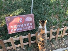 -西园戒幢律寺