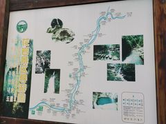 -花岩国家森林公园