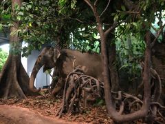 -浙江自然博物院(杭州馆)