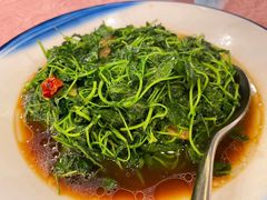 鸡毛菜-苏苑饭店-中餐厅(长桥地区店)