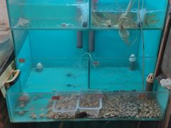 -小时候焗海鲜(鄞州万达店)