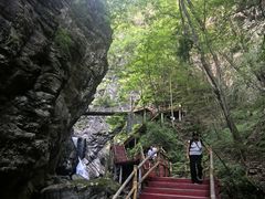 -牛背梁国家森林公园