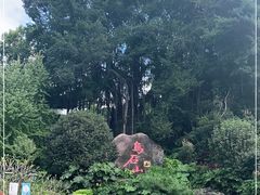 -乌山风景区