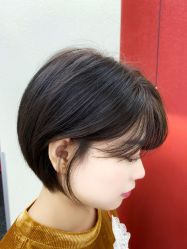 -IP SALON