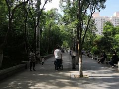 -莲湖公园