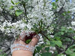 -中福百货(望京店)