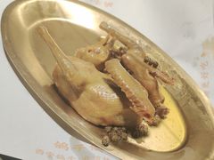 -鸽子侯·家宴·平价海鲜(绿地店)