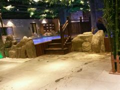android_upload_pic-家乐比水文化休闲广场(望花都店)