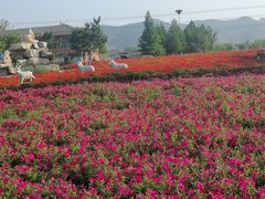 -羊亭河湿地公园