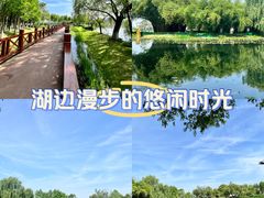 -金银湖国家城市湿地公园