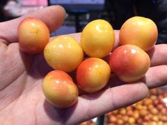 -城市批发中心(芙蓉汉城店)