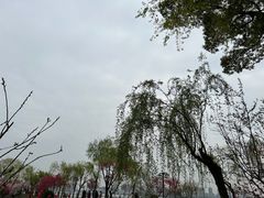-无锡蠡湖国家湿地公园-蠡园