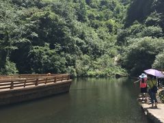 -少华山国家森林公园