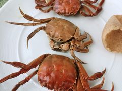 -视界美食自助餐厅·石家庄希尔顿酒店