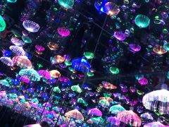 -梵高星空艺术馆(北京旗舰店)