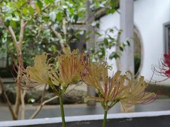 -杭州植物园