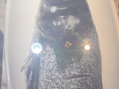 -鸽子侯·家宴·平价海鲜(市图书馆店)