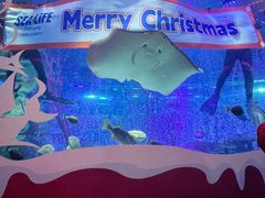 -沈阳海洋探索中心