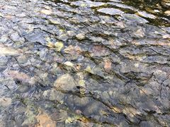 -野三坡刘家河高山漂流