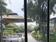 -蘇河湾·新鲁菜·泰山宴(泰山店)