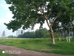 -杭州城北体育公园