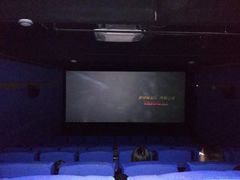放映厅-乐达影城(枣庄市中店)