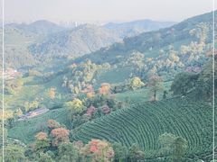 -西湖风景区十里琅珰-五云山