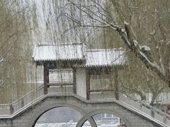 -团结湖公园