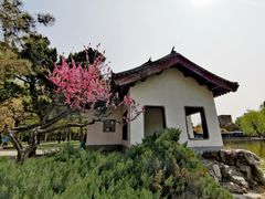 -团结湖公园
