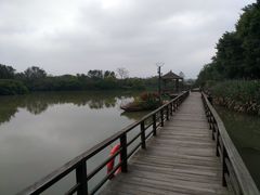 -大湾区中央湿地公园