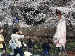 -顾村公园3号门停车场