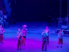 -俄罗斯国家大马戏团