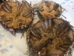 -海胆小馆(东北水饺·春柳店)