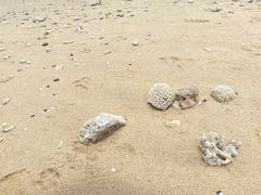-石螺口海滩