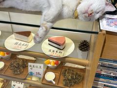 -猫的天空之城概念书店(丽江古城饮玉巷店)