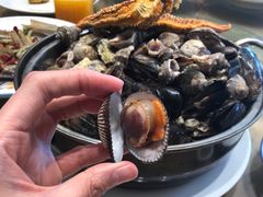 血蛤-映像威海·海鲜味道(经区店)