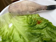 耗儿鱼-枇杷园食为鲜火锅(南山店)